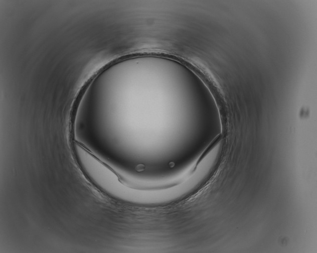 X0000094361277200711241929