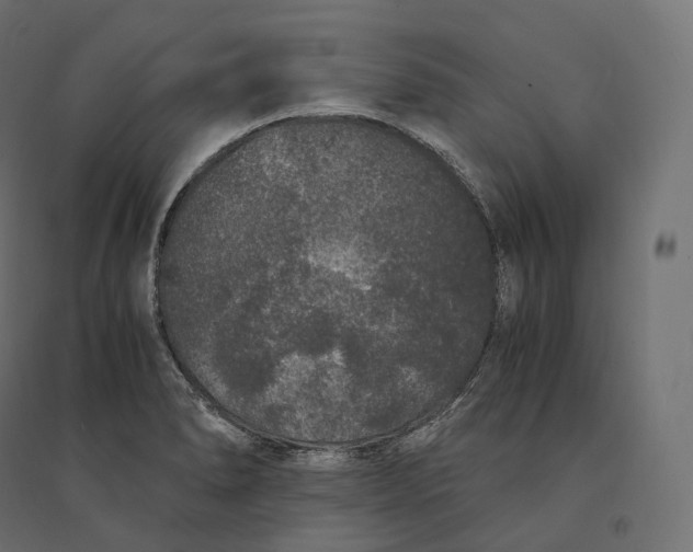 X0000094361278200711241929