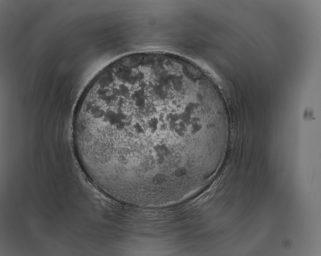 X0000094361279200711241929