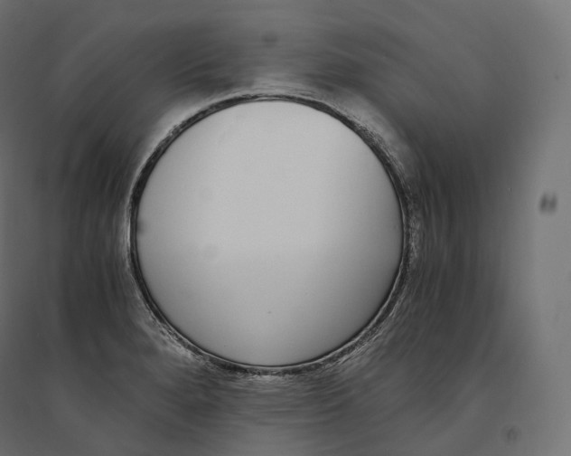 X0000094361280200711241929