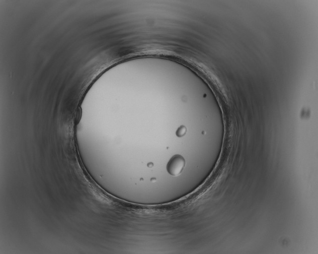 X0000094361281200711241929