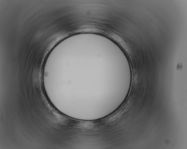 X0000094361282200711241929