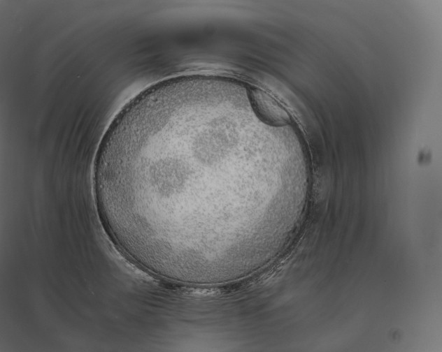 X0000094361283200711241929