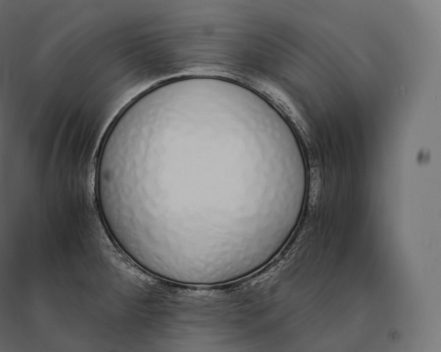 X0000094361284200711241929