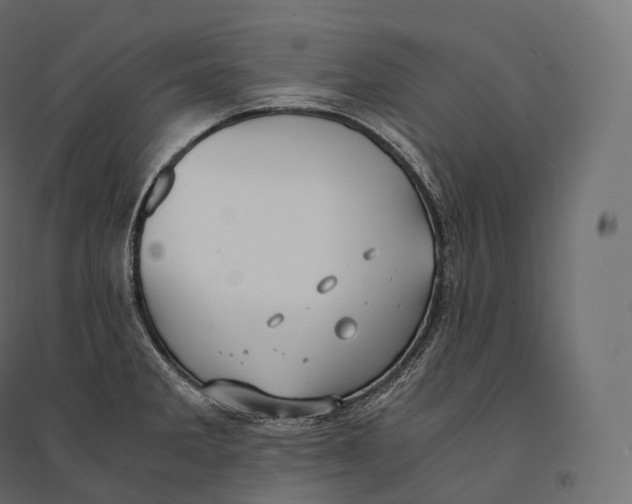 X0000094361285200711241929