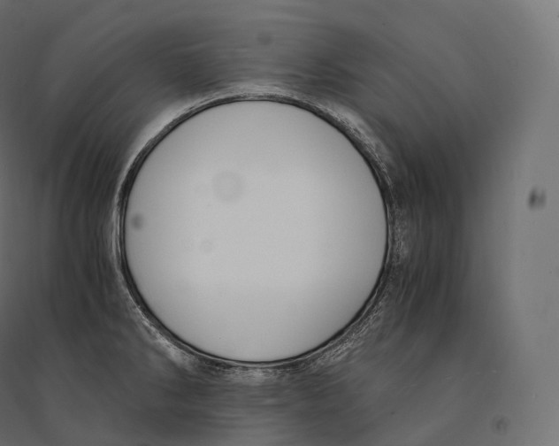 X0000094361286200711241929