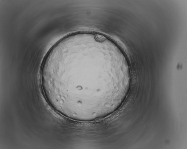 X0000094361287200711241929