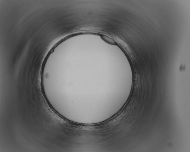 X0000094361288200711241929