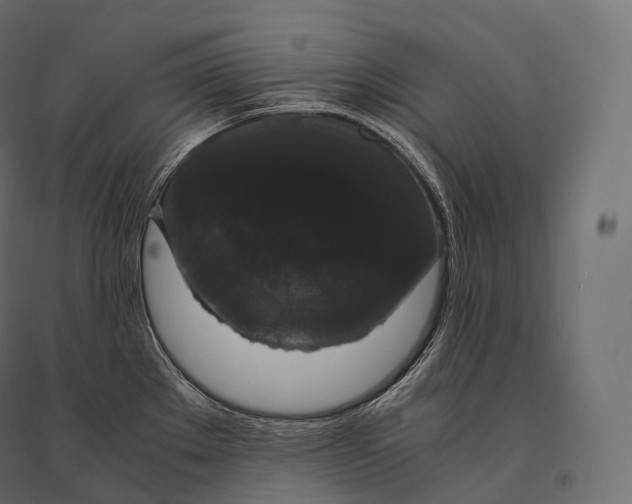 X0000094361289200711241929