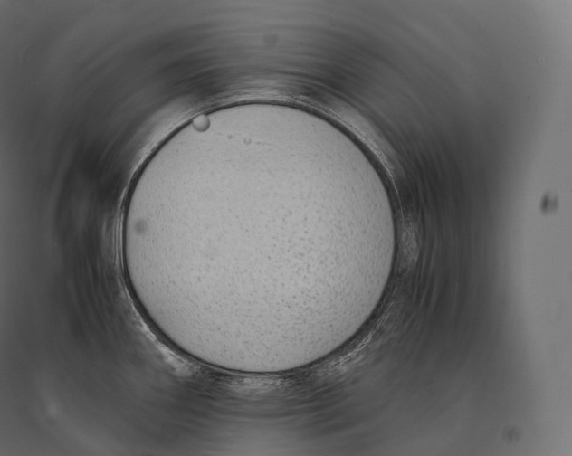 X0000094361290200711241929