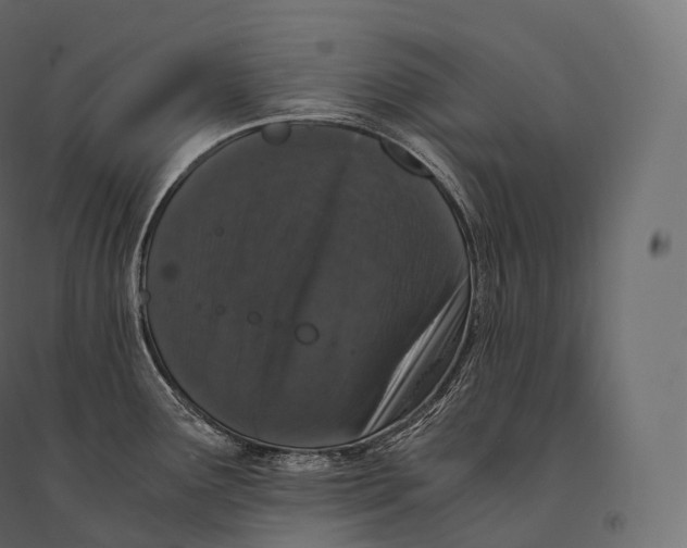 X0000094361291200711241929