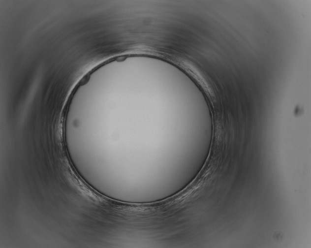 X0000094361292200711241929