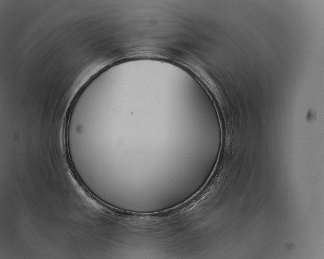 X0000094361293200711241929