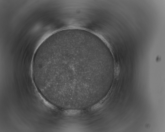 X0000094361294200711241929