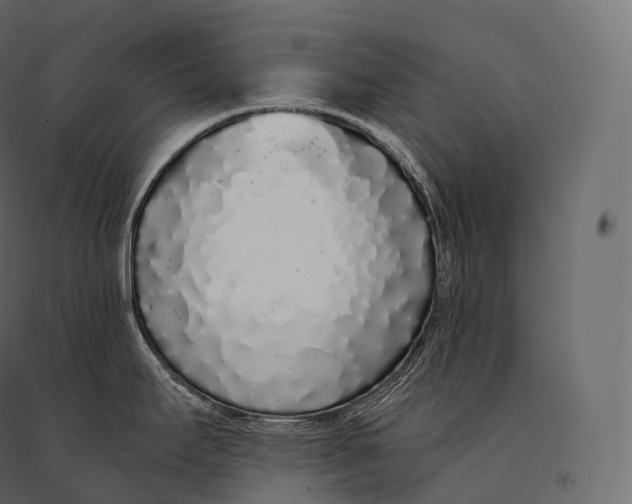 X0000094361295200711241929