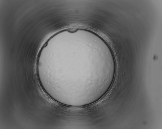 X0000094361296200711241929