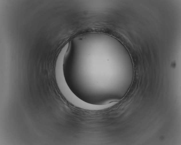 X0000094361298200711241928