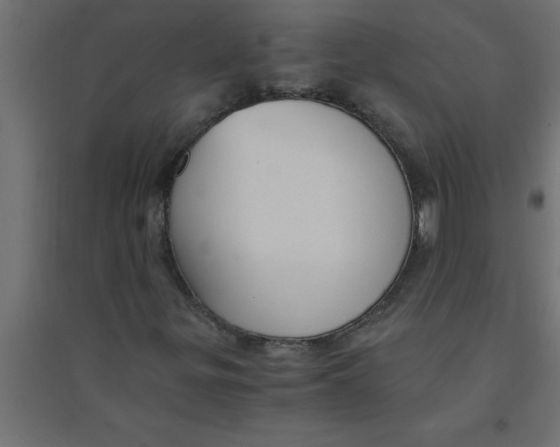 X0000094361299200711241928