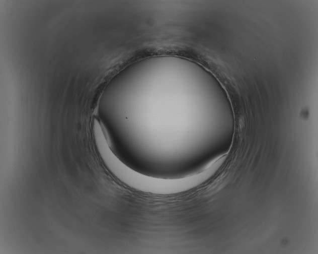 X0000094361300200711241928