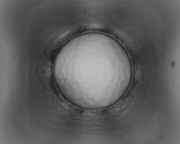 X0000094361301200711241928