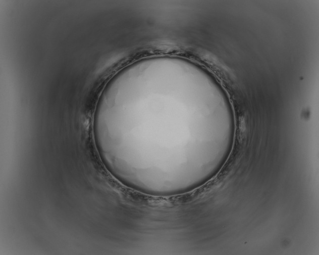 X0000094361302200711241928