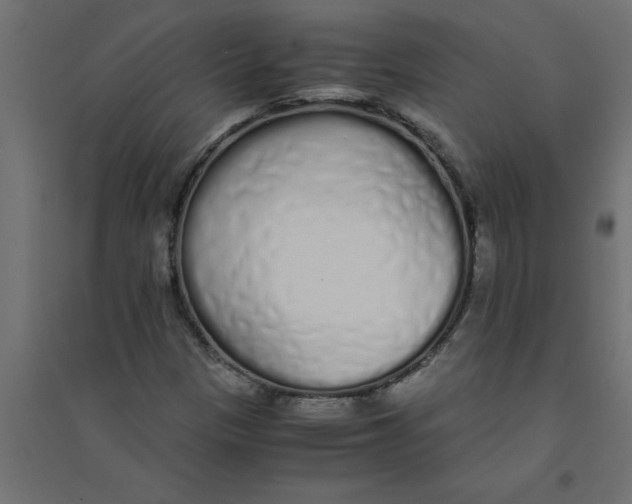 X0000094361305200711241928