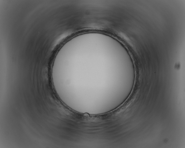 X0000094361307200711241928