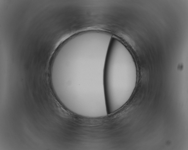 X0000094361308200711241928