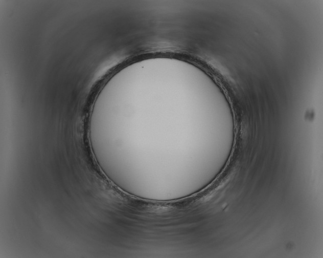 X0000094361309200711241928