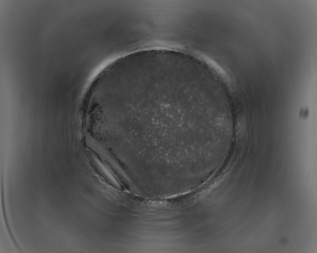 X0000094361310200711241928