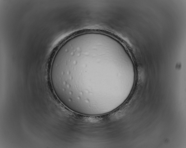 X0000094361311200711241928