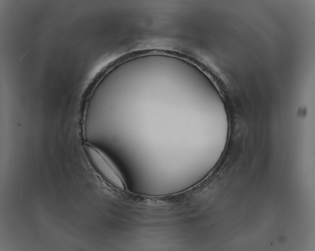 X0000094361312200711241928