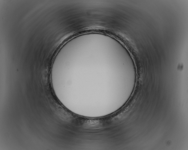 X0000094361313200711241928