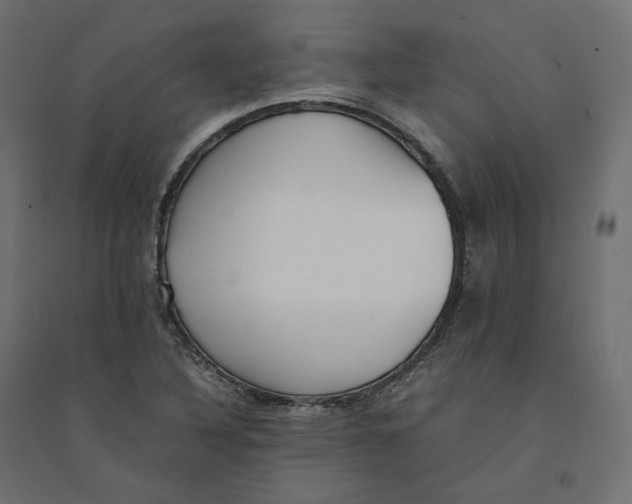 X0000094361316200711241928