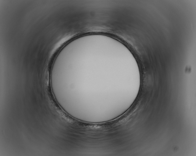 X0000094361317200711241928