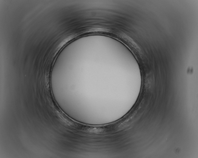 X0000094361321200711241928