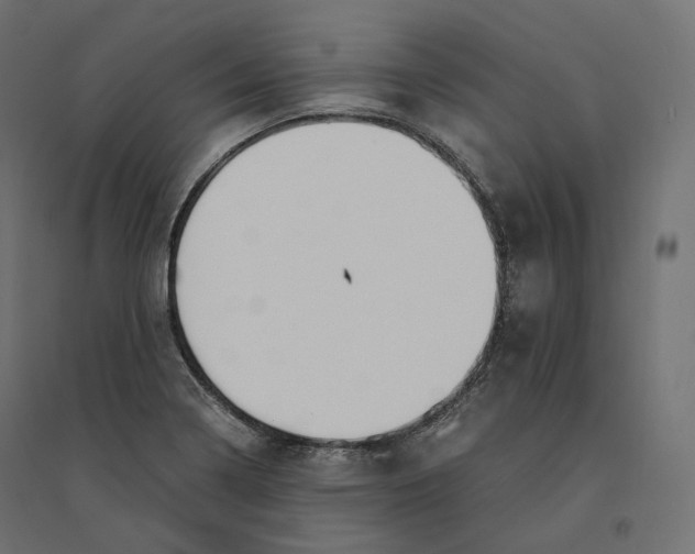 X0000094361322200711241928