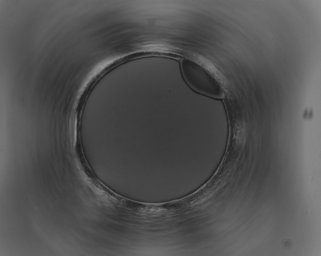 X0000094361323200711241928