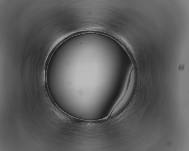 X0000094361324200711241928