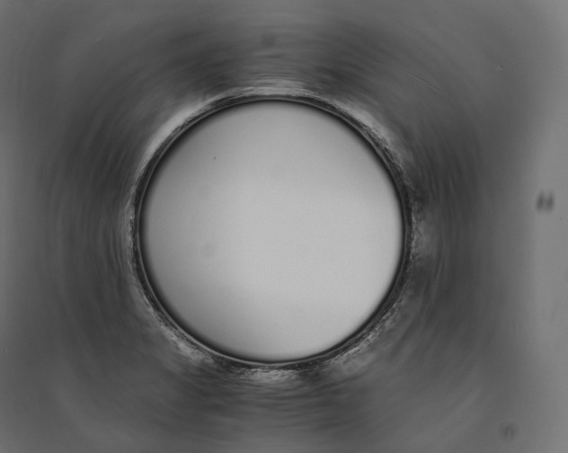 X0000094361325200711241928