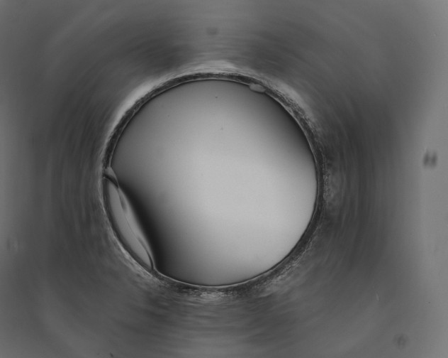 X0000094361326200711241928