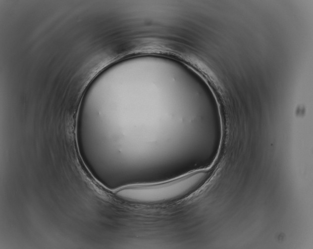 X0000094361329200711241928