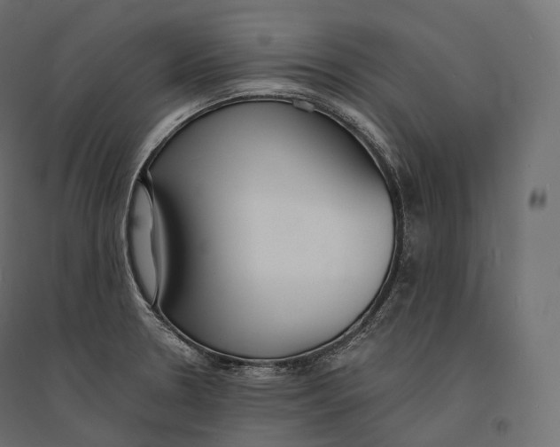 X0000094361330200711241928