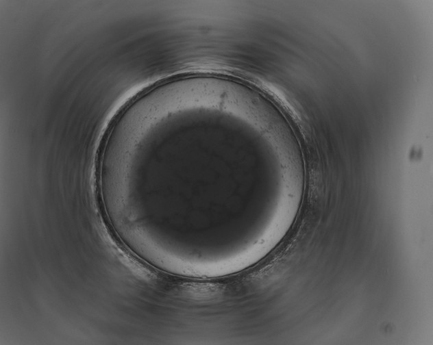 X0000094361331200711241928