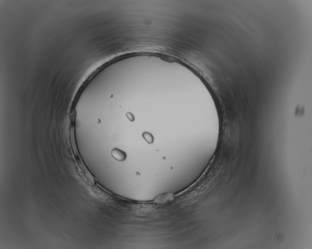 X0000094361332200711241929