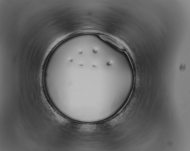 X0000094361333200711241929