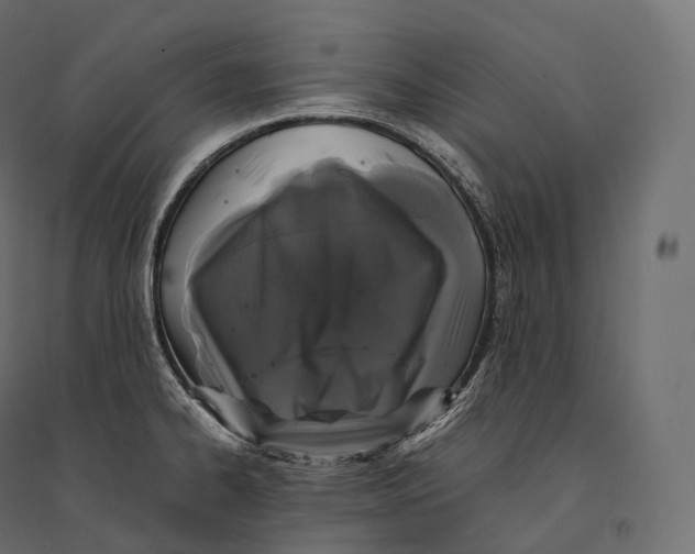 X0000094361334200711241929