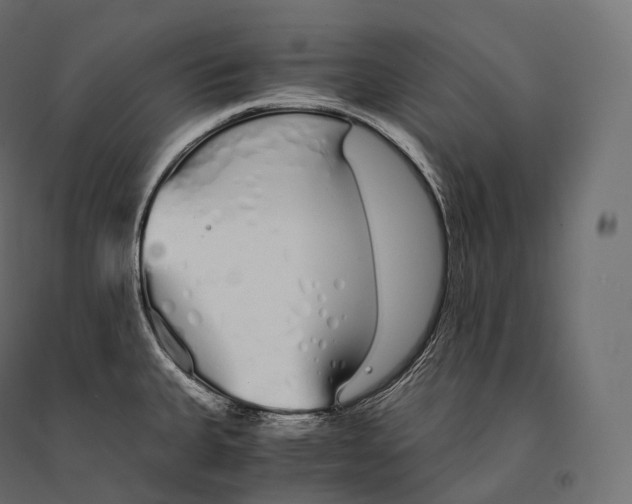 X0000094361335200711241929