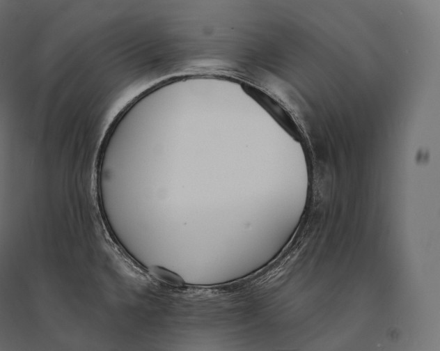 X0000094361336200711241929