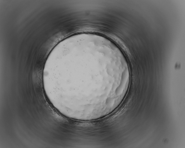 X0000094361337200711241929